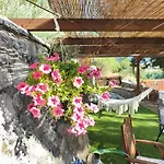 Agoriani Art - 4 Seasons' Natural Living *