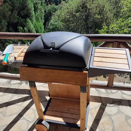 Agoriani Art - 4 Seasons' Natural Living *